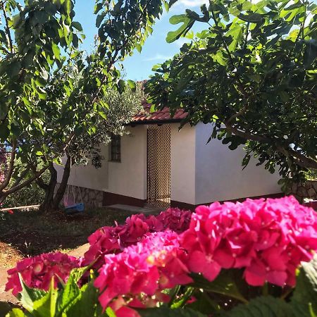 Apartments Nina Omišalj المظهر الخارجي الصورة